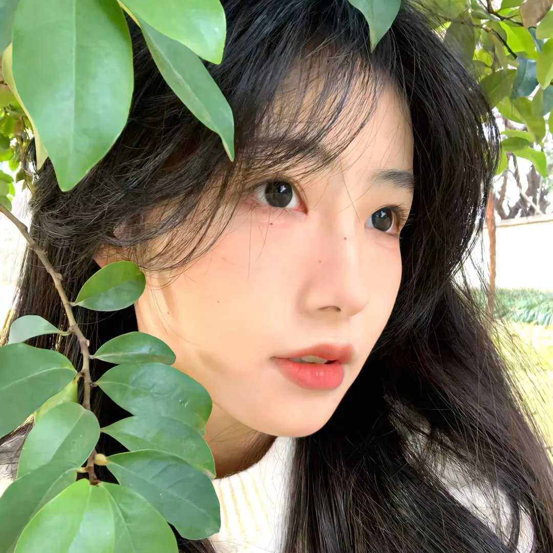 我最爱的女人们 宝藏版